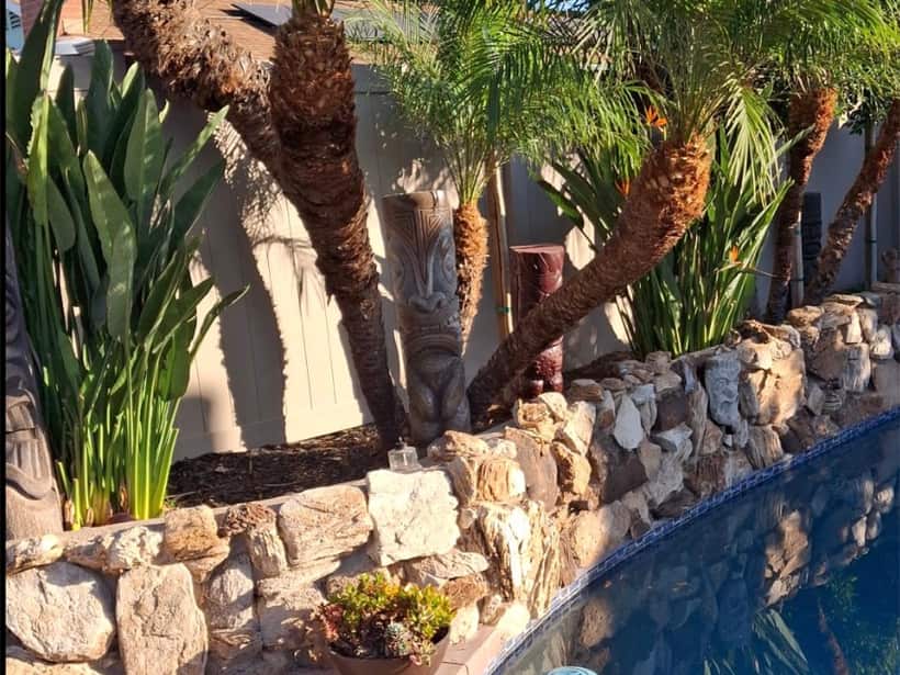 Palms and planting kept trimmed above a pool