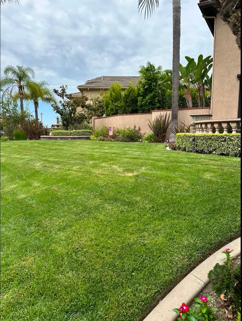 Front lawn mowed and edged at a home in Anaheim