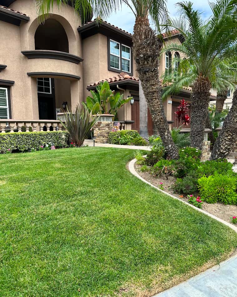 A front lawn we keep cut and edged at a home in Anaheim