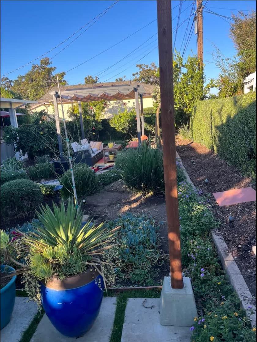 Backyard garden beds with a blue glazed pot and a pergola, kept by Sunny Gardening Service