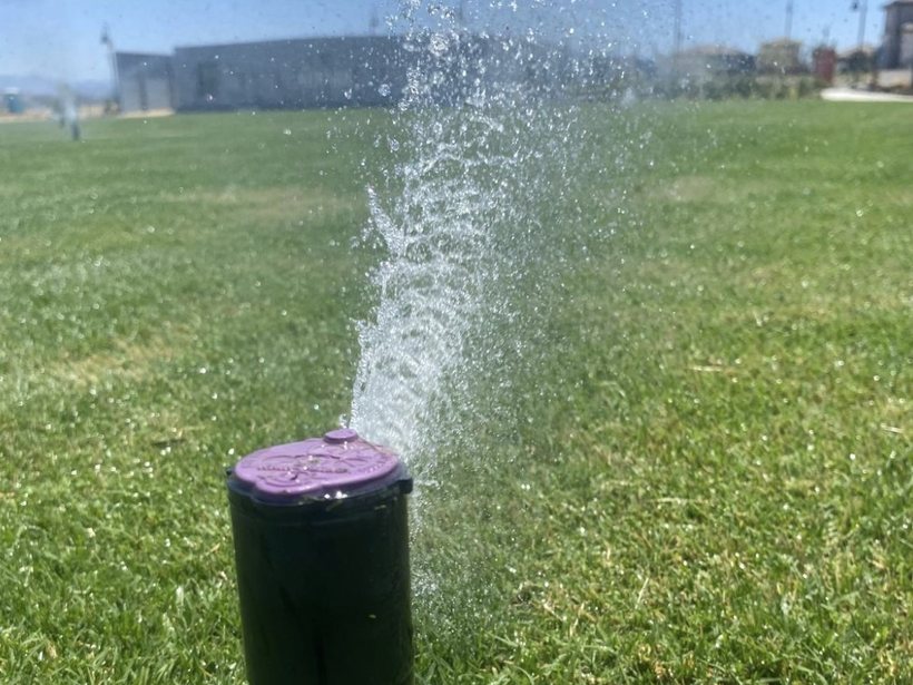 Pop-up sprinkler head spraying water over a green lawn