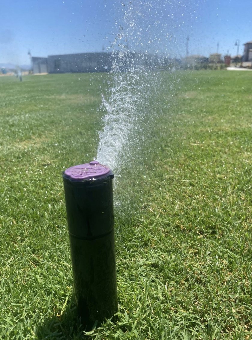 Pop-up sprinkler head spraying water over a green lawn